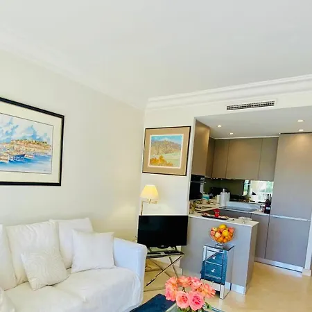 Beautiful With Terrace And Sea View * Cannes